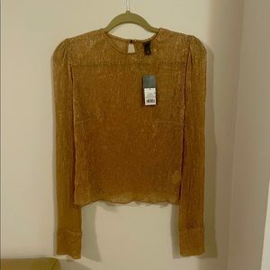 Wild Child Shimmery Sheer Top